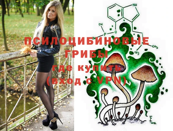 меф Арсеньев