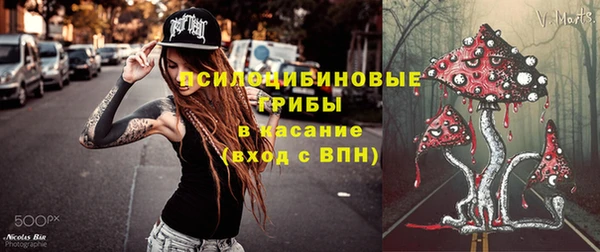 apvp Аркадак