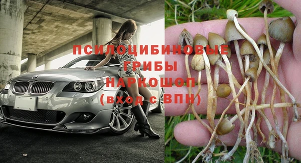 гашик Армянск
